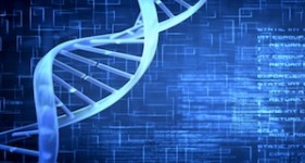 DNA_feat